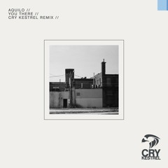 Aquilo - You There (Cry Kestrel Remix)