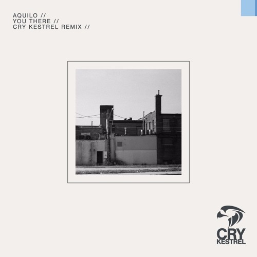 Aquilo - You There (Cry Kestrel Remix)