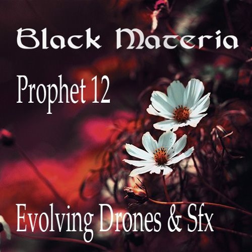 Dsi Prophet 12 Black Materia - Evolving, Drones & Fx