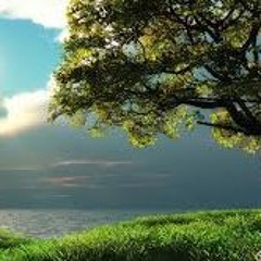 مقطع رائع من سورة مريم للشيخ السعيد عبد الصمد الزناتى