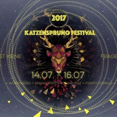Catweasel @ Katzensprung Festival 2017 / Rudis Garten - 16Jul2017