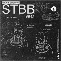STBB542...Ezeroh1- Enter In The Realm (Instrumental)
