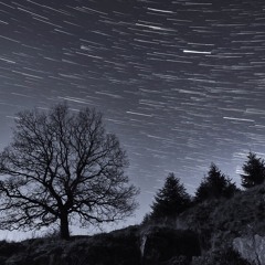 Nightly Depth (end rem)