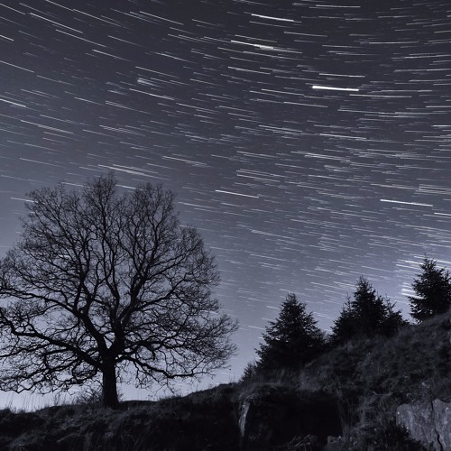 Nightly Depth (end rem)