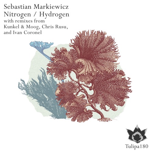 Sebastian Markiewicz: Nitrogen (Kunkel & Moog Remix) / Snippet