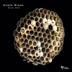 Chris Rinox - A Strange Call