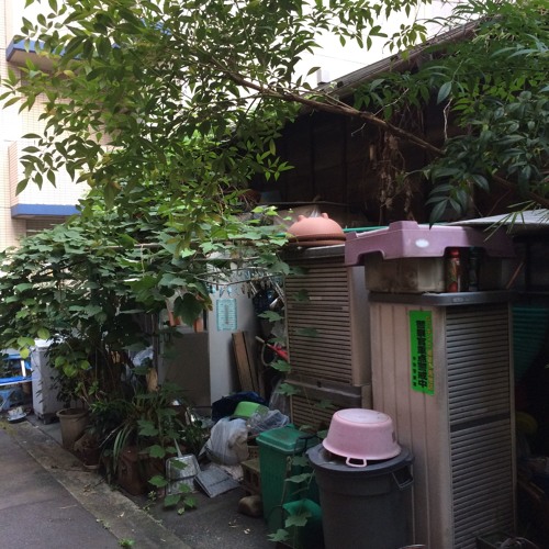 joy (cover rei harakami)