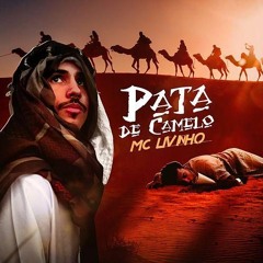 MC Livinho - Pata De Camelo (Perera DJ) Audio Oficial