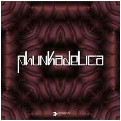 Premiere: Phunkadelica - Intergalactico (Original Mix) [Engrave Ltd]