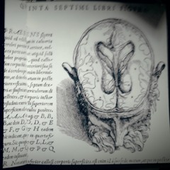 WITH A STAR IN THE BRAIN