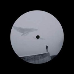 Harrison BDP - Confusion Of Sound