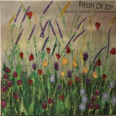 Fields Of Joy - cover - Aerogene070