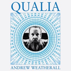 Andrew Weatherall - Evidence The Enemy