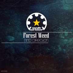 Mind Direction EP Preview [Mystic Carousel]