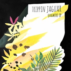 Premiere: Trippin Jaguar - Quagmire [Serafin Audio Imprint]