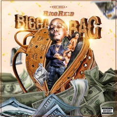 Bigga Bag (Main)