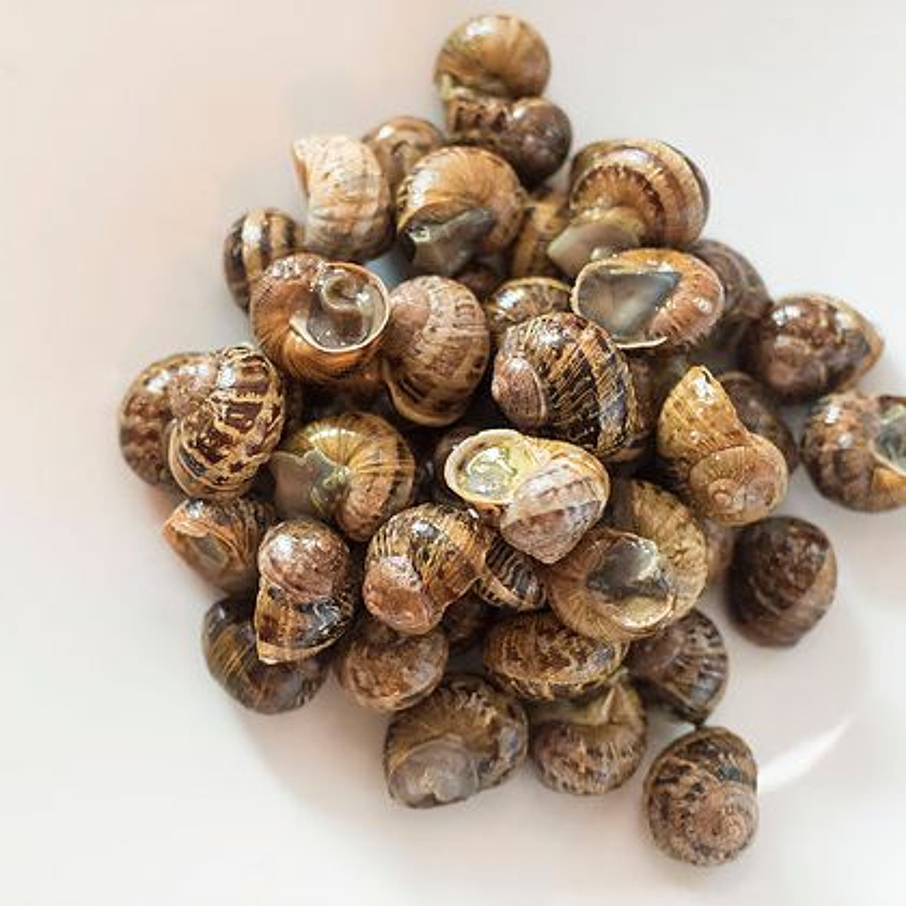 July 27, 2017 95.9 WATD SSMN Goldie's Hot Sheet Peconic Escargot episode artwork