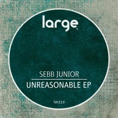 Sebb Junior | Feel The Same (preview clip)