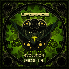 Upgrade - Life - FREE DOWNLOAD