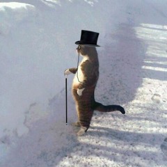 Ahh It's Good to Have Land Mix