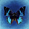 Silvestr Santōro Ft. John Robertson - I Believe In You