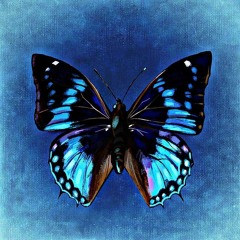 Silvestr Santōro Ft. John Robertson - I Believe In You