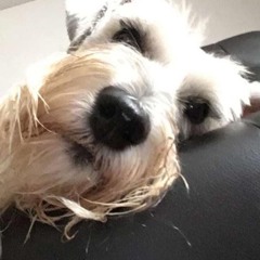 magnolia x mask off (lonemoon remix)