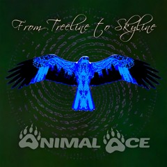 Pinions And Quills (Original Mix)