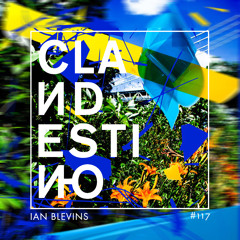 Clandestino 117 - Ian Blevins
