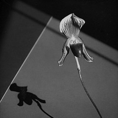 Marco Lucchi & Paulo Chagas - A Small Phrygian Blue Ballade