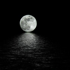 Moon Fest 2017 Playlist