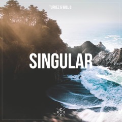 Turkez & WILL B - Singular