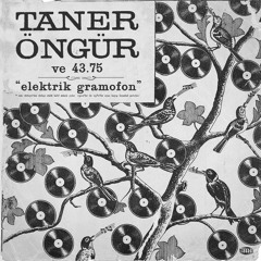 TANER ÖNGÜR - Karakız