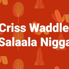 Criss Waddle - Salaala Niggas (Prod.by UnkleBeatz)