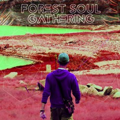 DJ Shan @ Forest Soul Gathering 2017