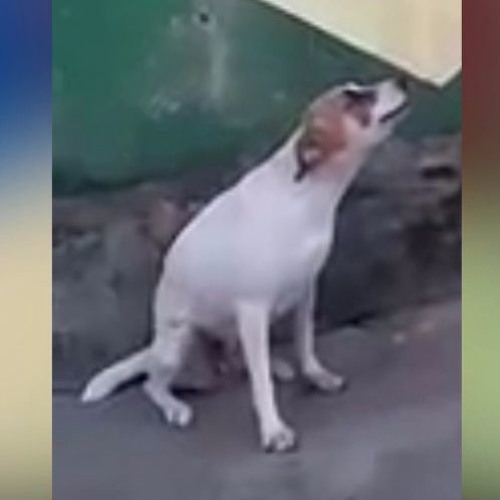 Stream Heads Will Roll (Remix) by Jonathan Listen online for free on