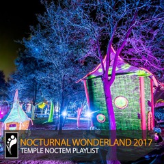 Nocturnal Wonderland 2017: Temple Noctem