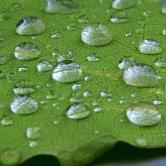 Heasoovlik teadlikkus hingamisest