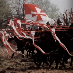 Winged Hussars