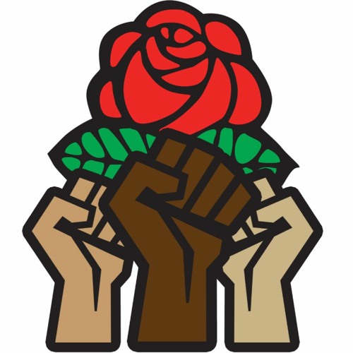 Ep. 22: Race, Class and DSA w/ Adolph Reed, Jr