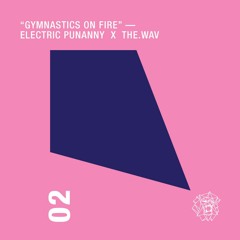 Electric Punanny ft. The.Wav  "Gymnastics On Fire"
