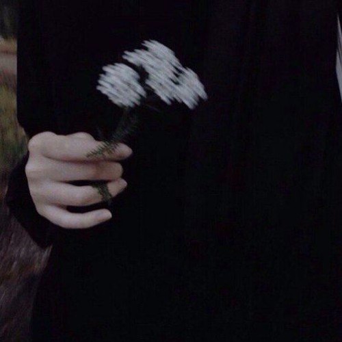 ㅤㅤㅤㅤㅤ.DEAD BATTERIES