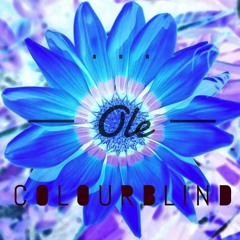 Colourblind (Acoustic Demo)