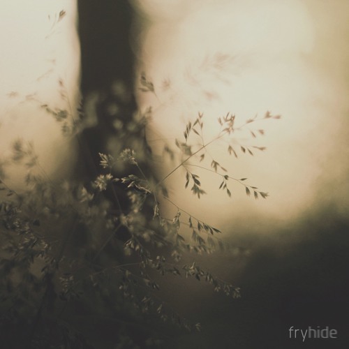 PREMIERE: HOSH feat. Karmon - Awakening Of The Birds