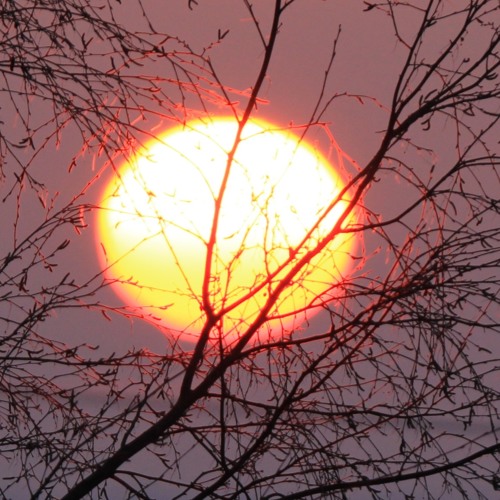 MITSHE Music: Tshering Dorji, Produced by: Chenzig Media