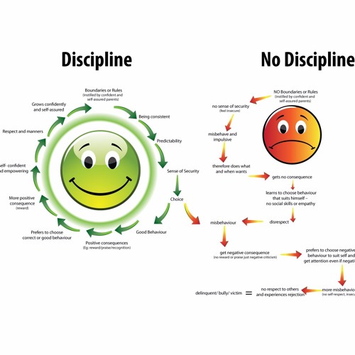 Stream Discipline (n) the practice of making sure that people obey ...