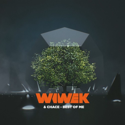 Wiwek & Chace - Best Of Me