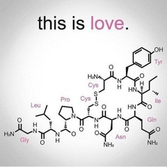 Who needs love anyway? (EROS&ISLES) acoustic