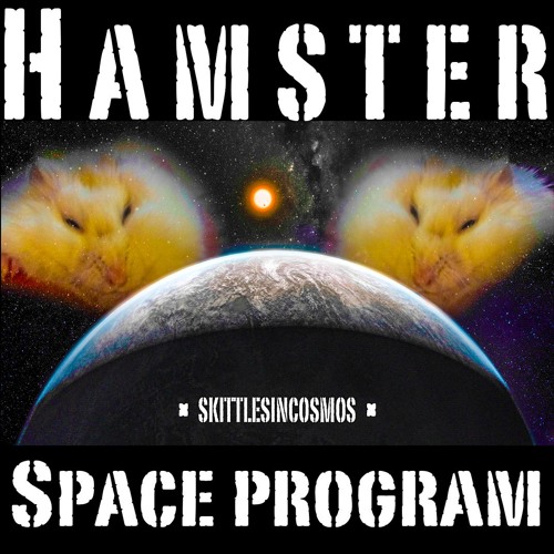 hamster space