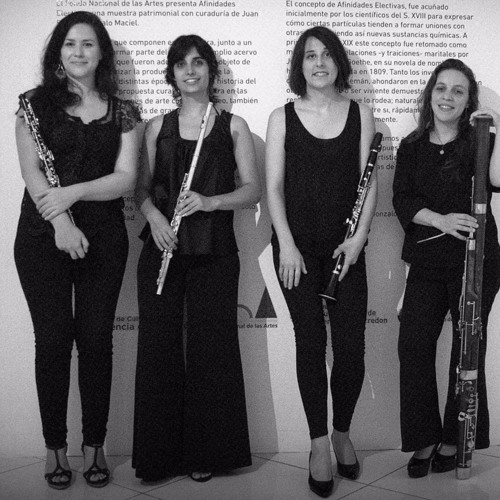 Stream Contra Viento Y Madera Listen To Noem Sozzi Ensamble Para